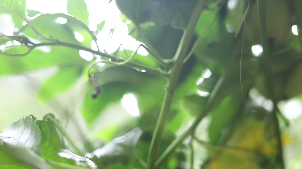 产业 70