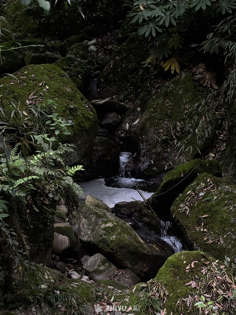 青城山雨后直拍 4
