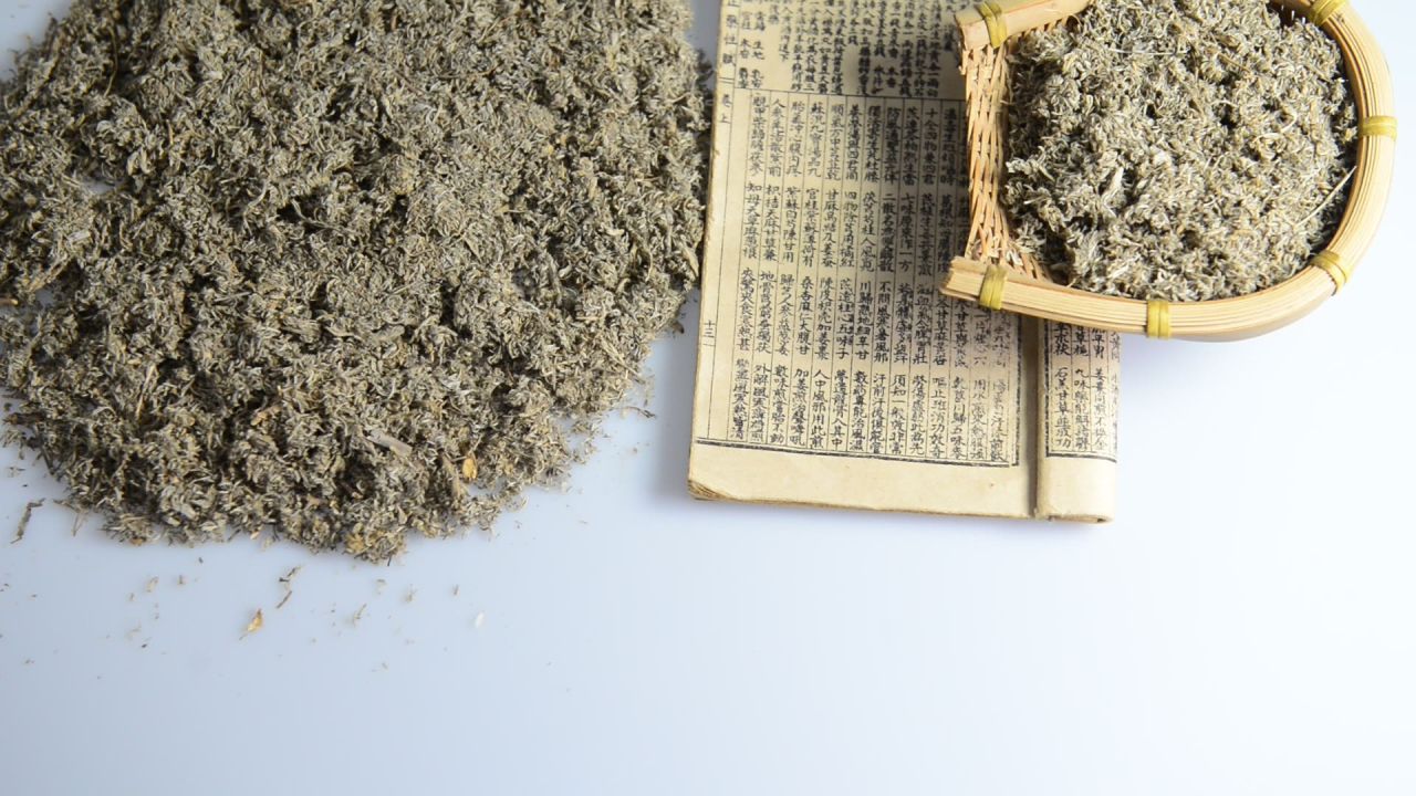 中药材茵陈 14