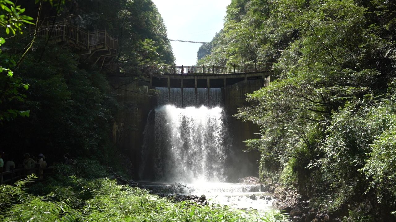 C0029 24