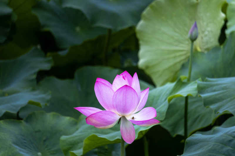 IMG_0397 拷贝