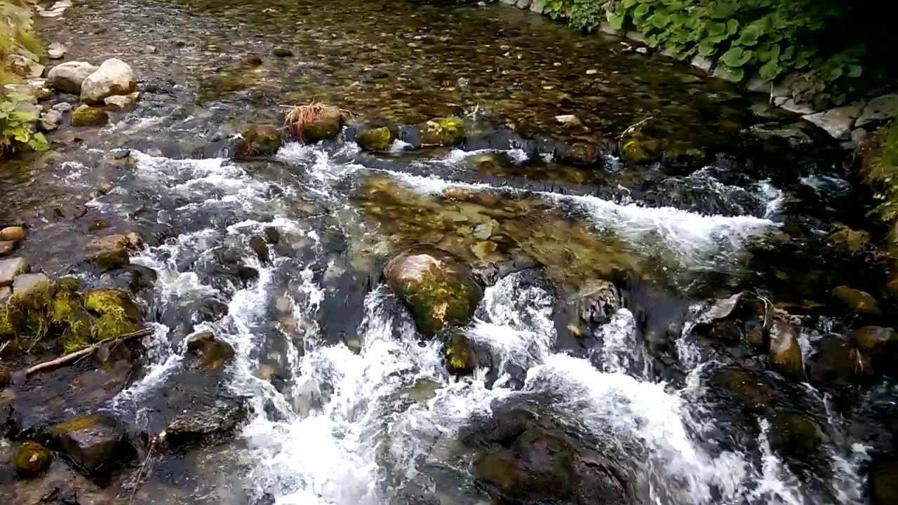 河水流大自然心灵