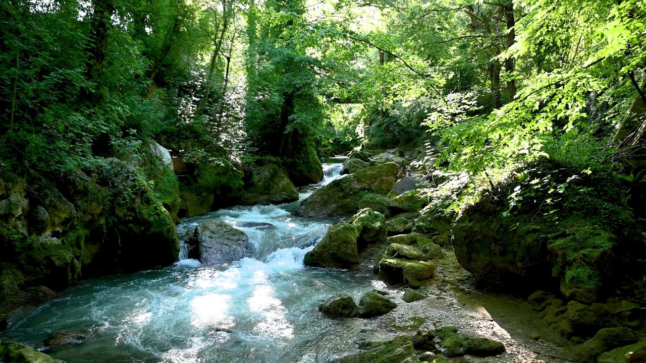 4k河流水自然森林 宁静岩石特写山水
