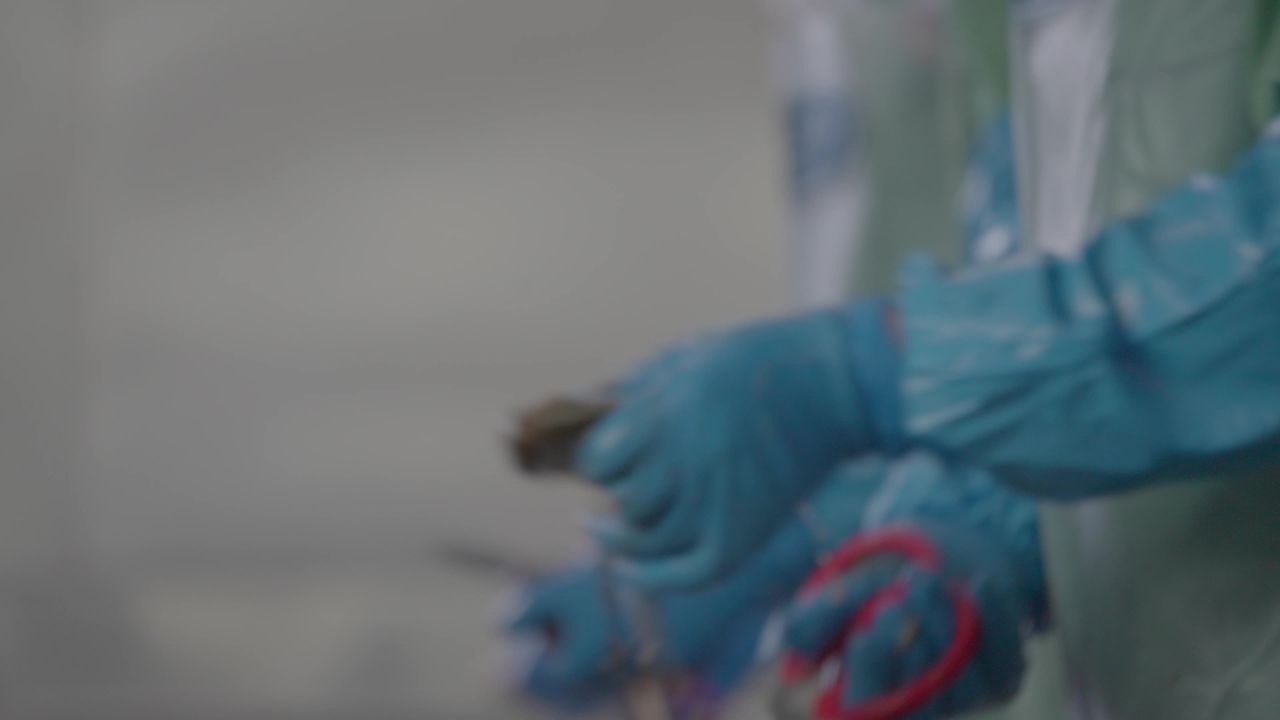 海参加工流水线作业