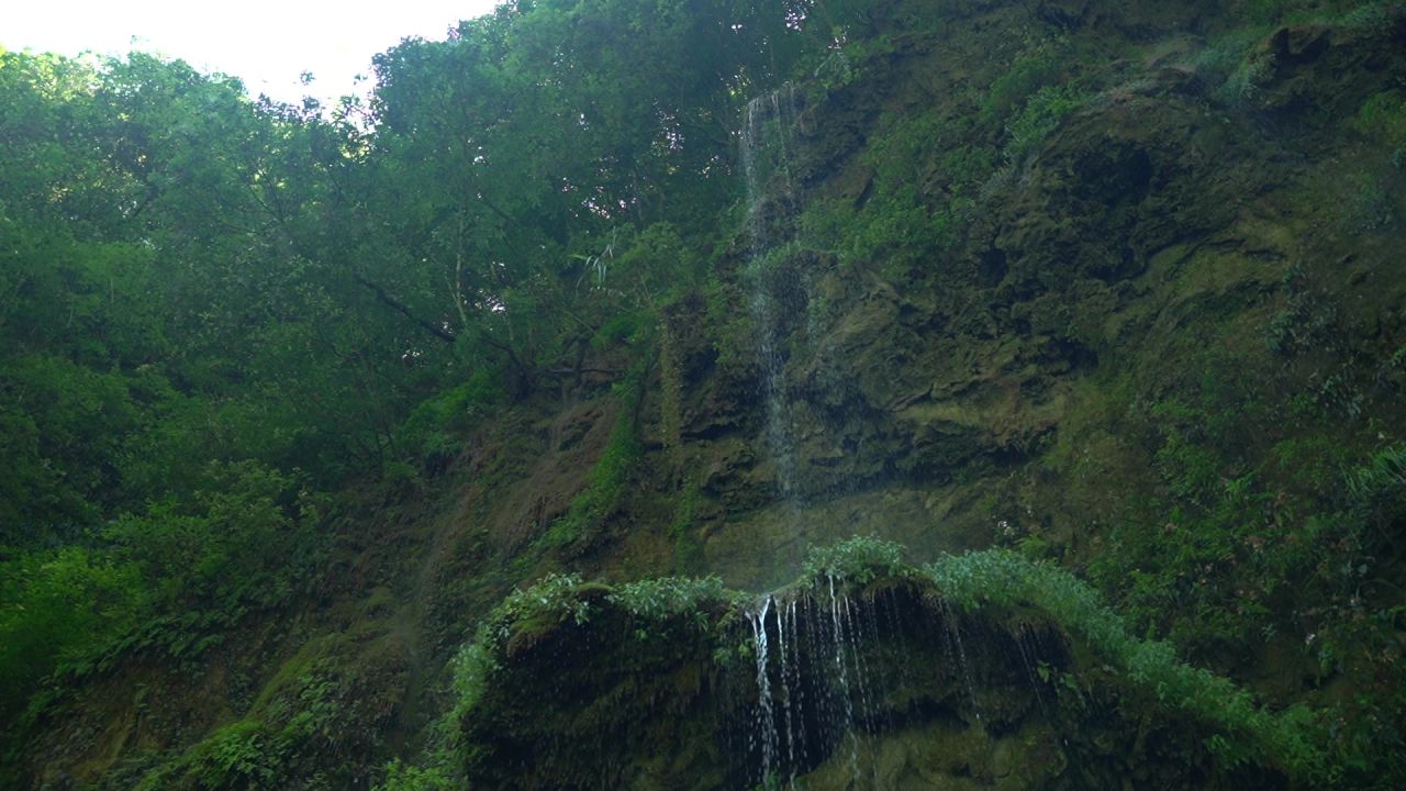 C0021 16