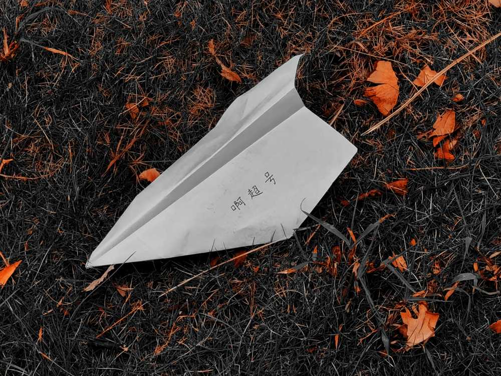 纸飞机