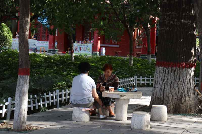 春游随拍1 2