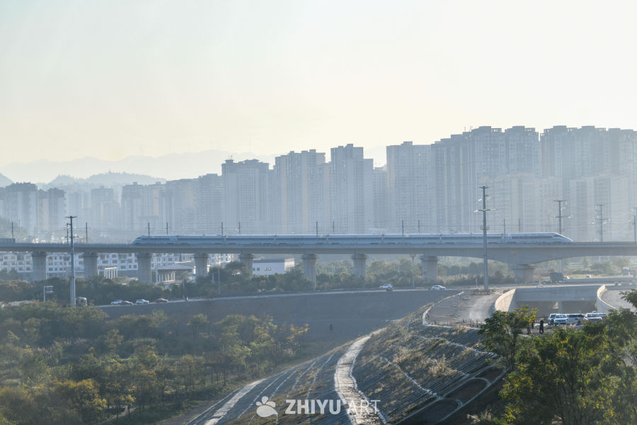 贵州盘兴高铁列车驶过山区 4