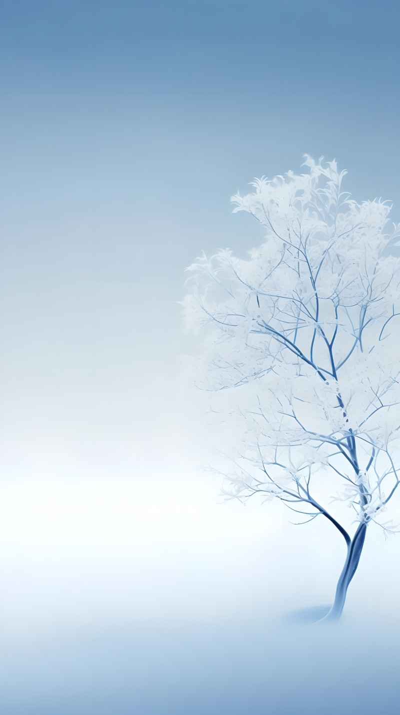 冬季冬天雪景唯美背景 17