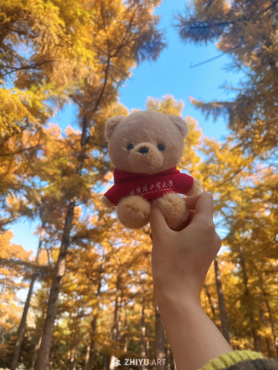 秋日暖熊