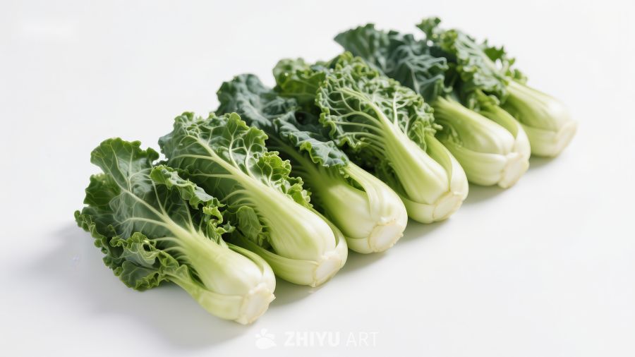 新鲜绿叶蔬菜整齐排列