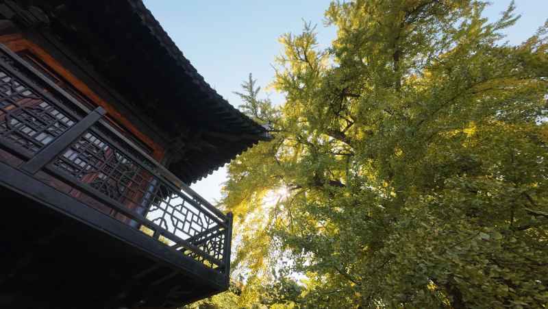 风景