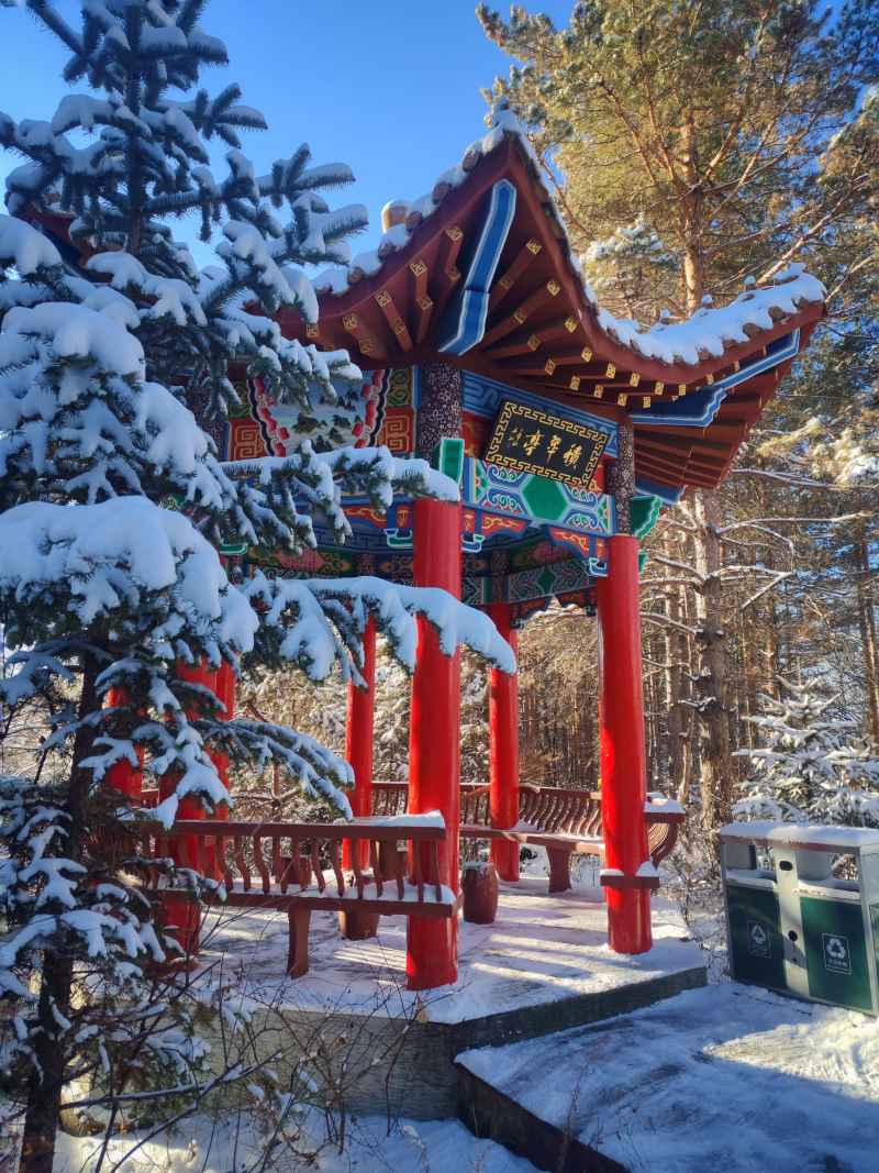 雪景 雪天 冬天 冬季 落雪 下雪 初雪