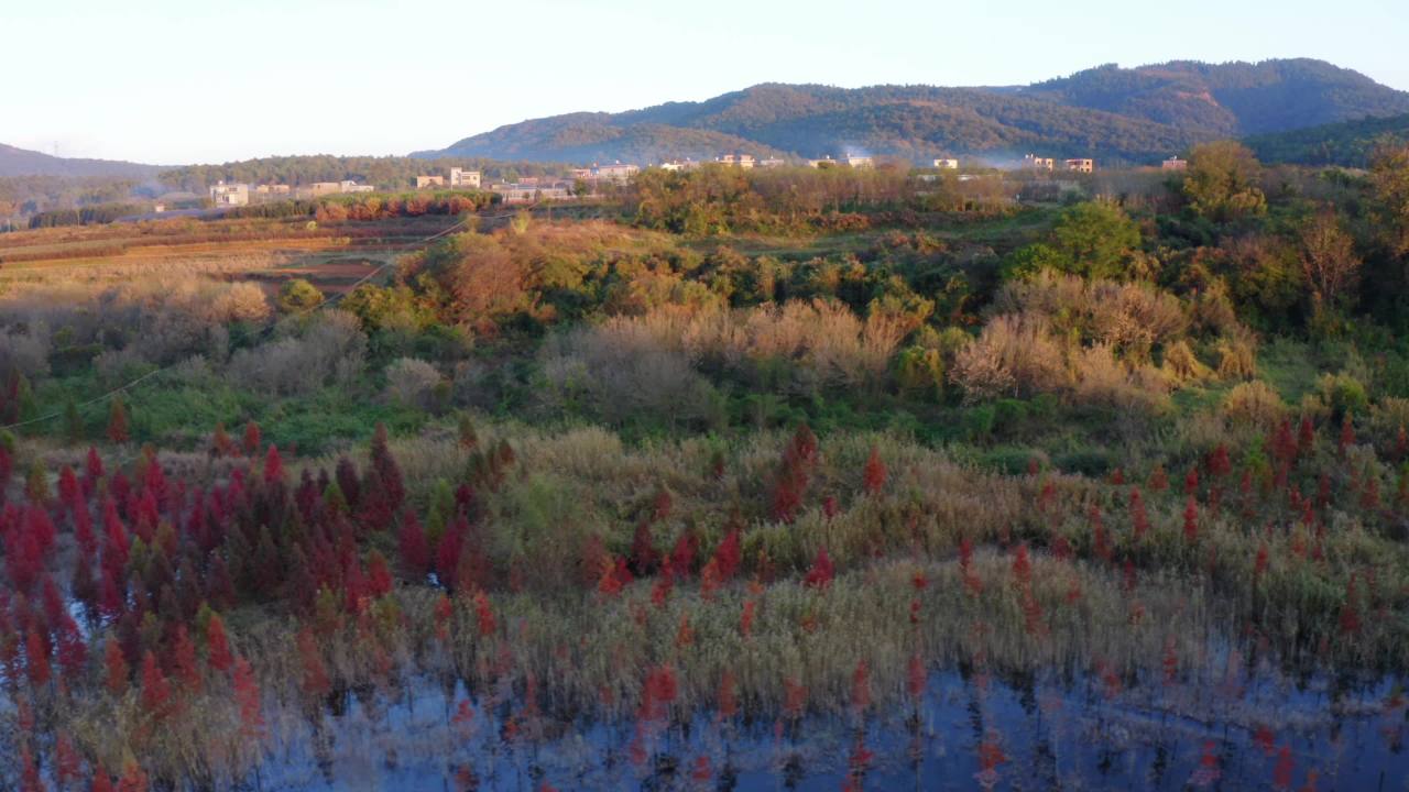 夕阳下的山丘与红树林