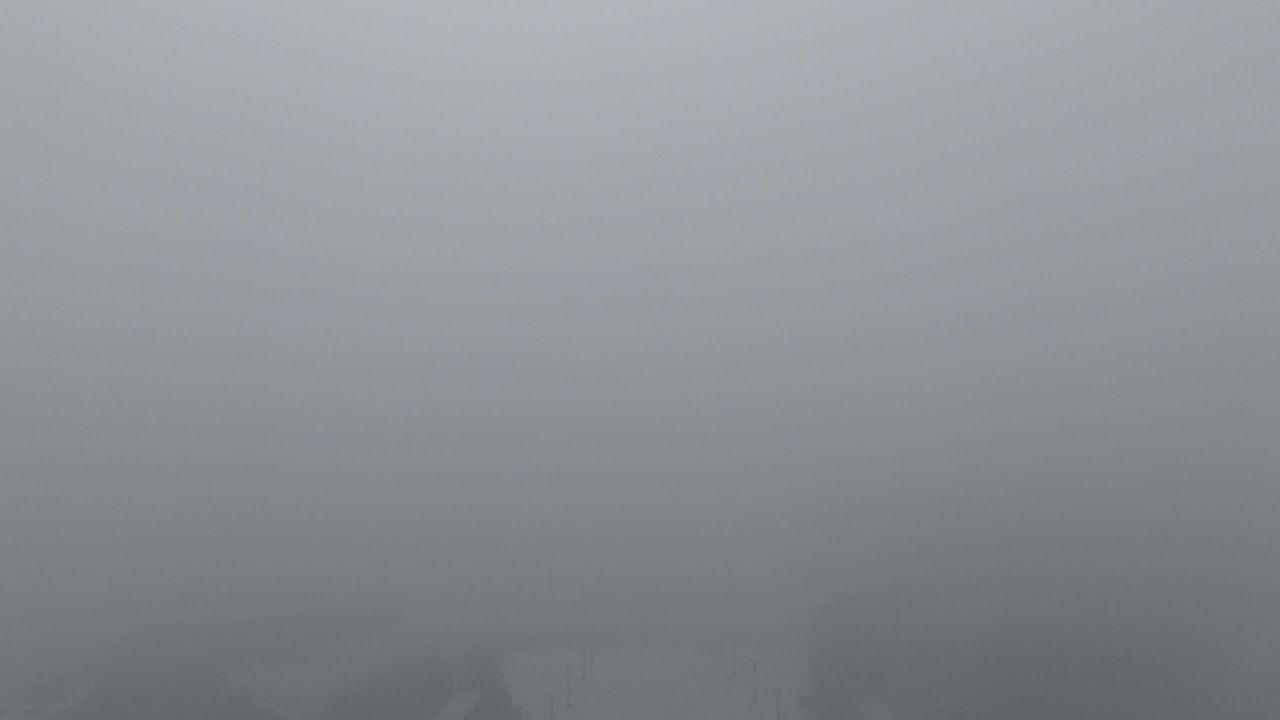 雾中曙光