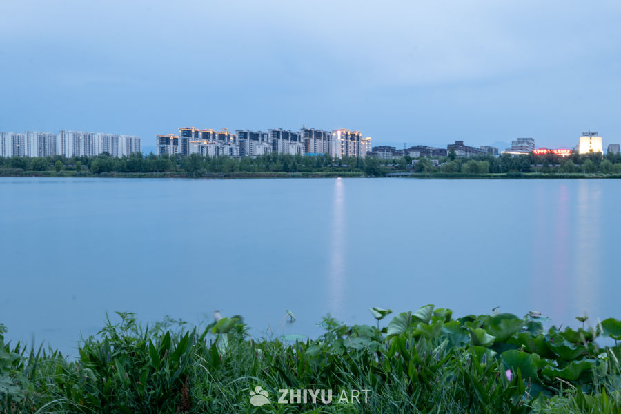 夜色下的大桥 14