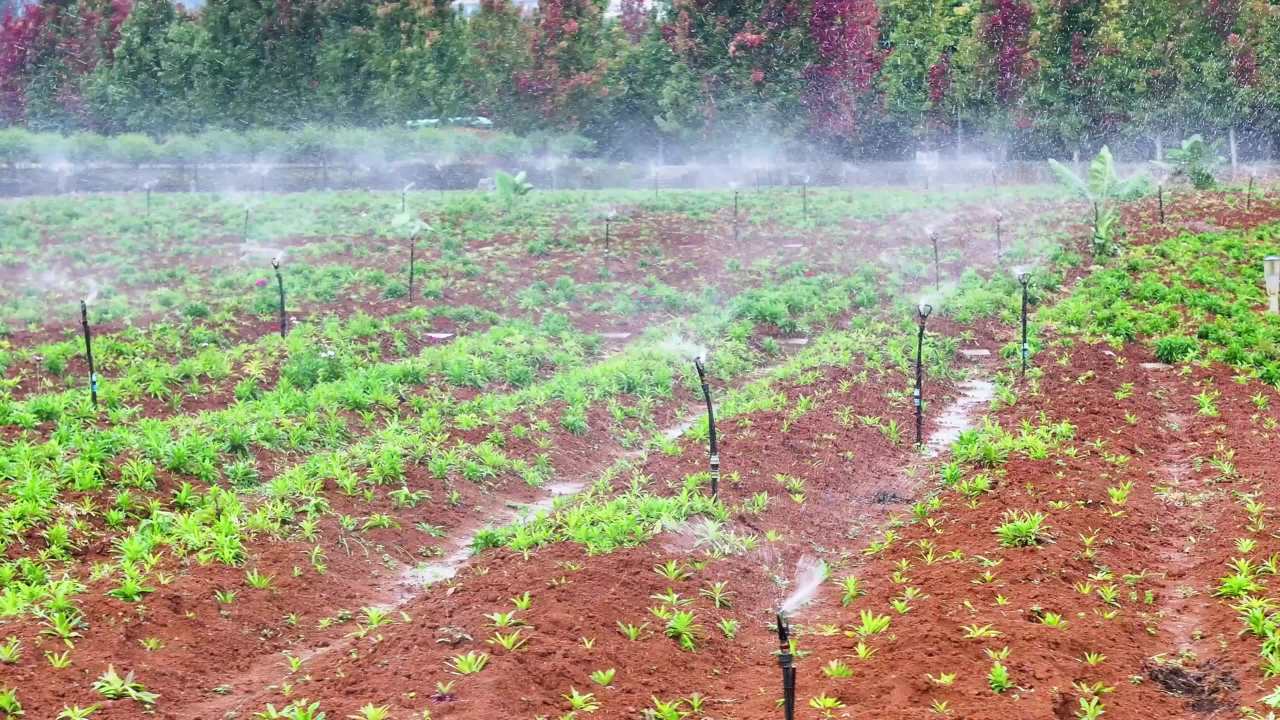 4k花草园林喷灌
