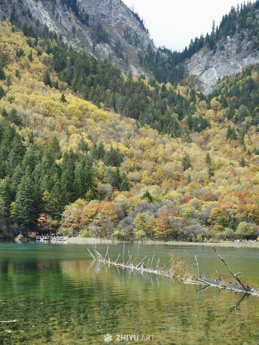 川西九寨/毕棚沟/四姑娘山 12