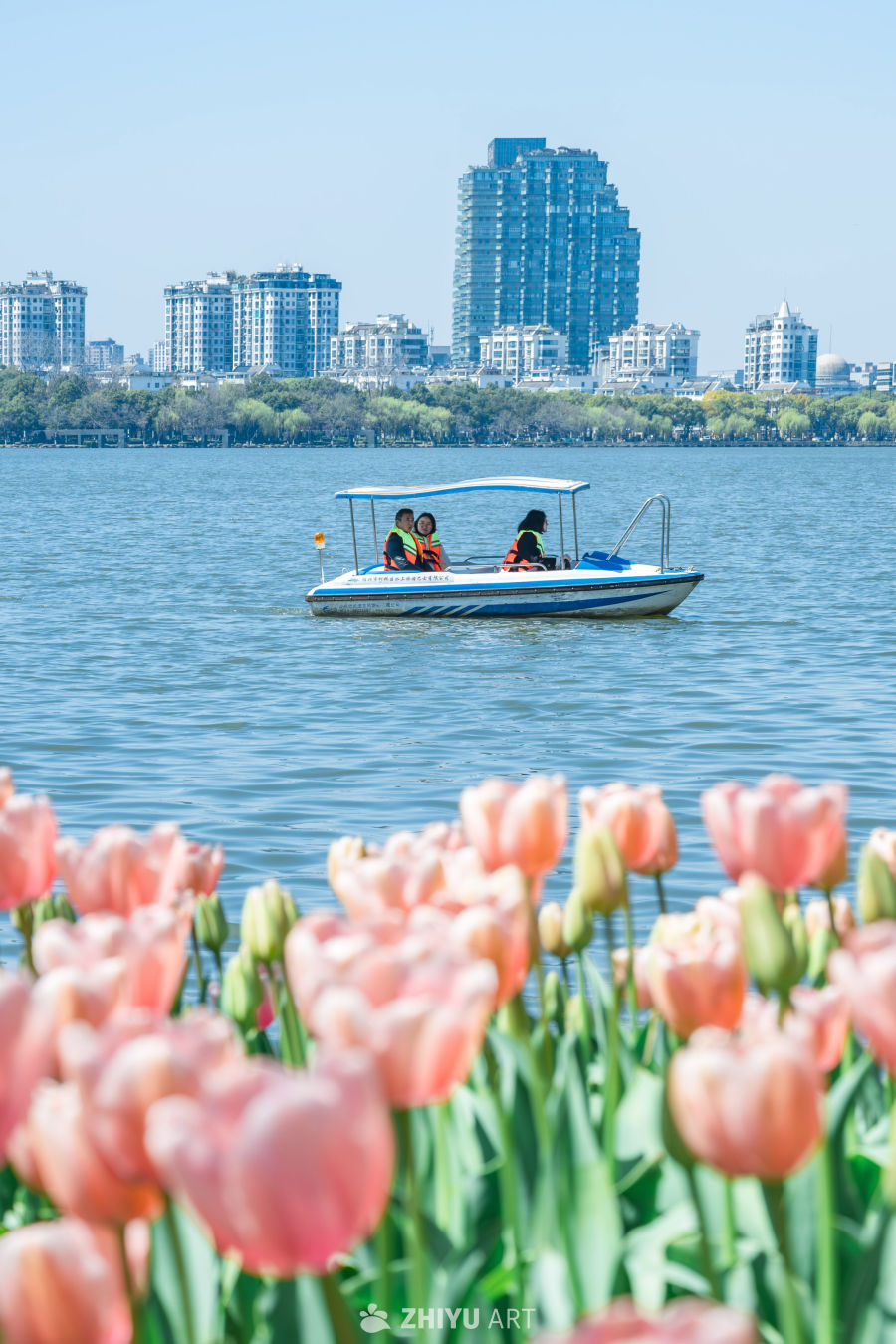 春日郁金香与游船