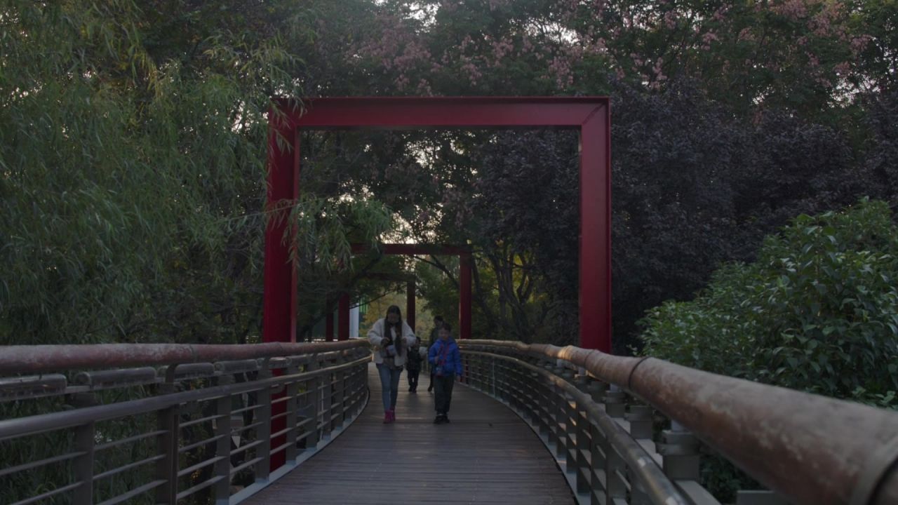 林荫道