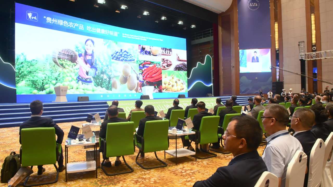 4k国际大会会议  嘉宾  新闻记者拍摄