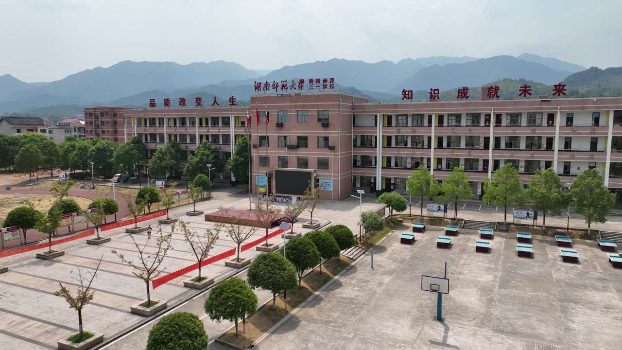 小学 11