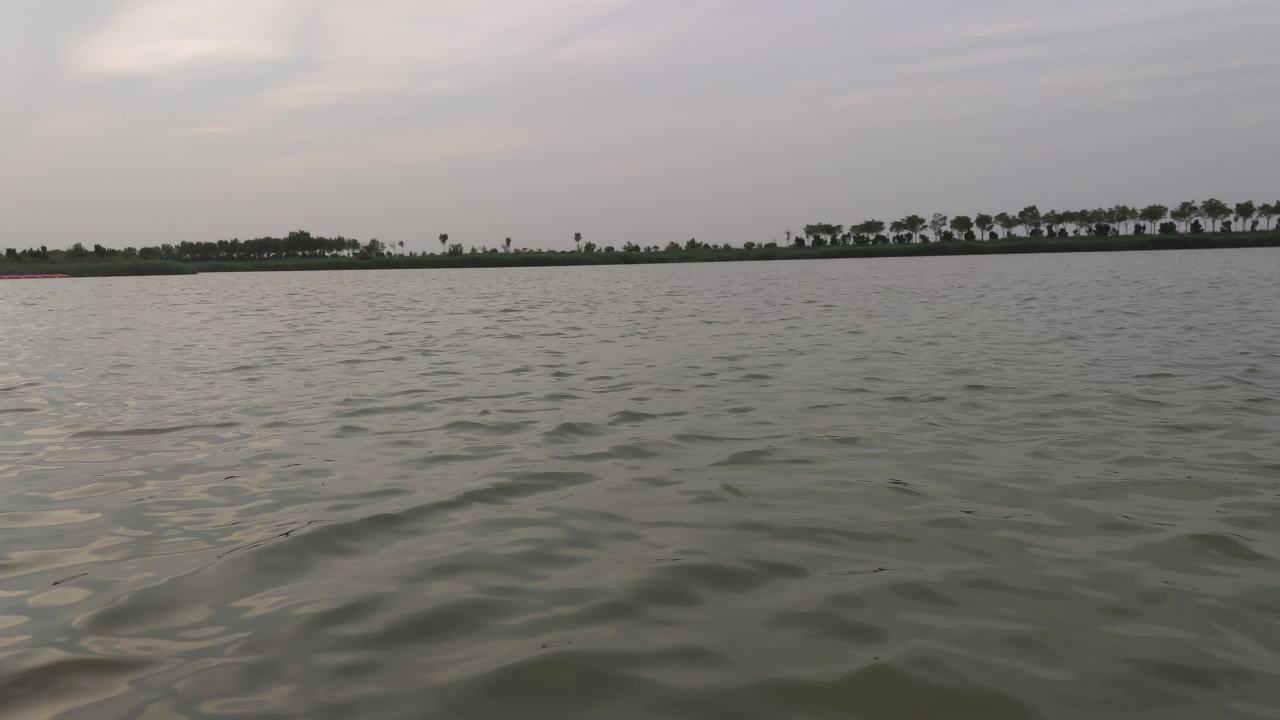 湿地 7