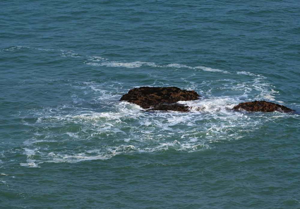 海
