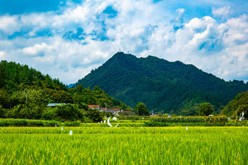 大山深处的美景 1