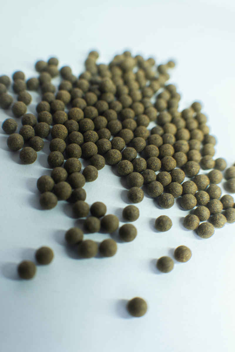 药物、药丸、药片、药品 10