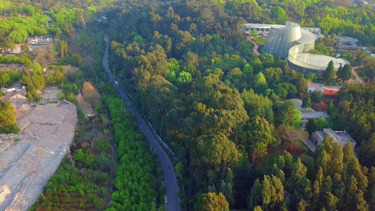 昆明植物园-7 7
