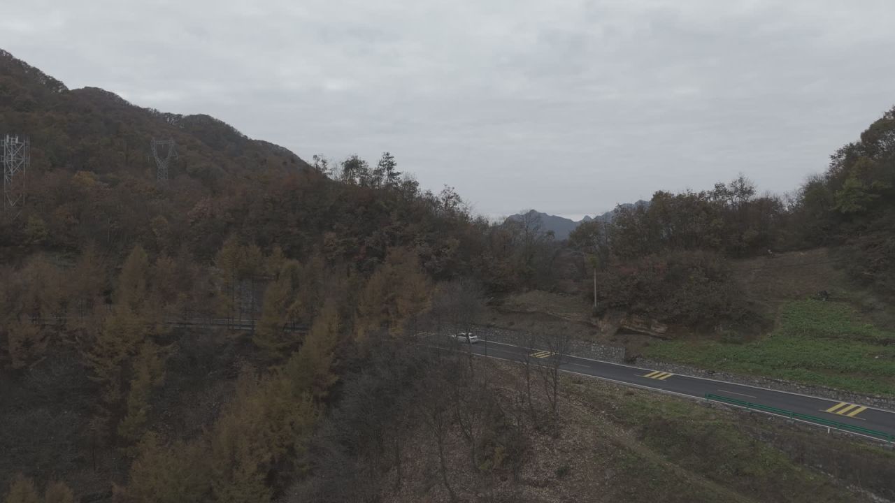 航拍山间公路与秋林