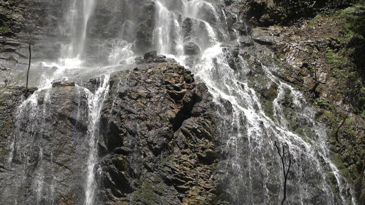 C0019 14