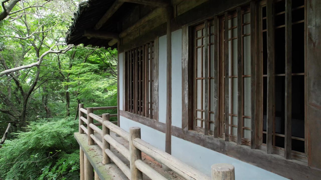 森林中的建筑