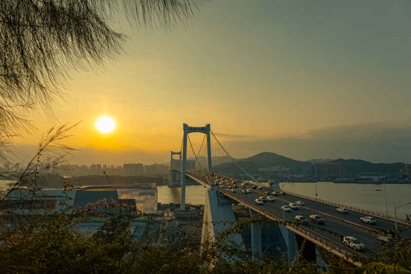 海沧大桥