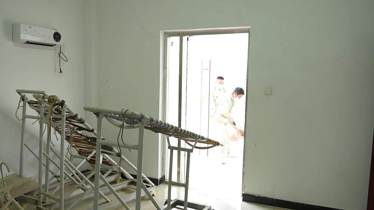 兽医胚胎手术操作及实验室检查