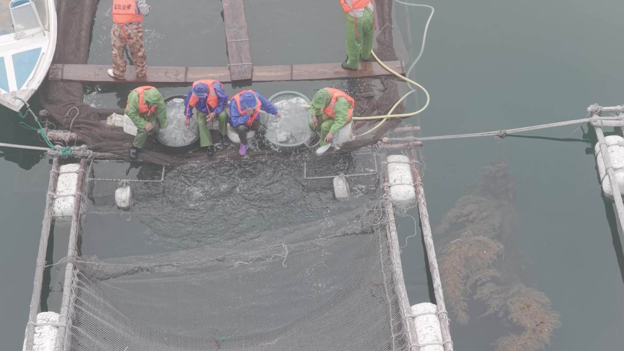 沿海渔村水产养殖与网箱作业