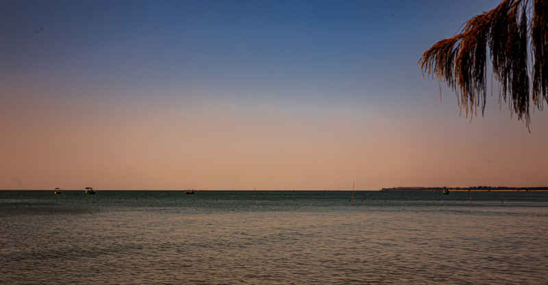 海洋