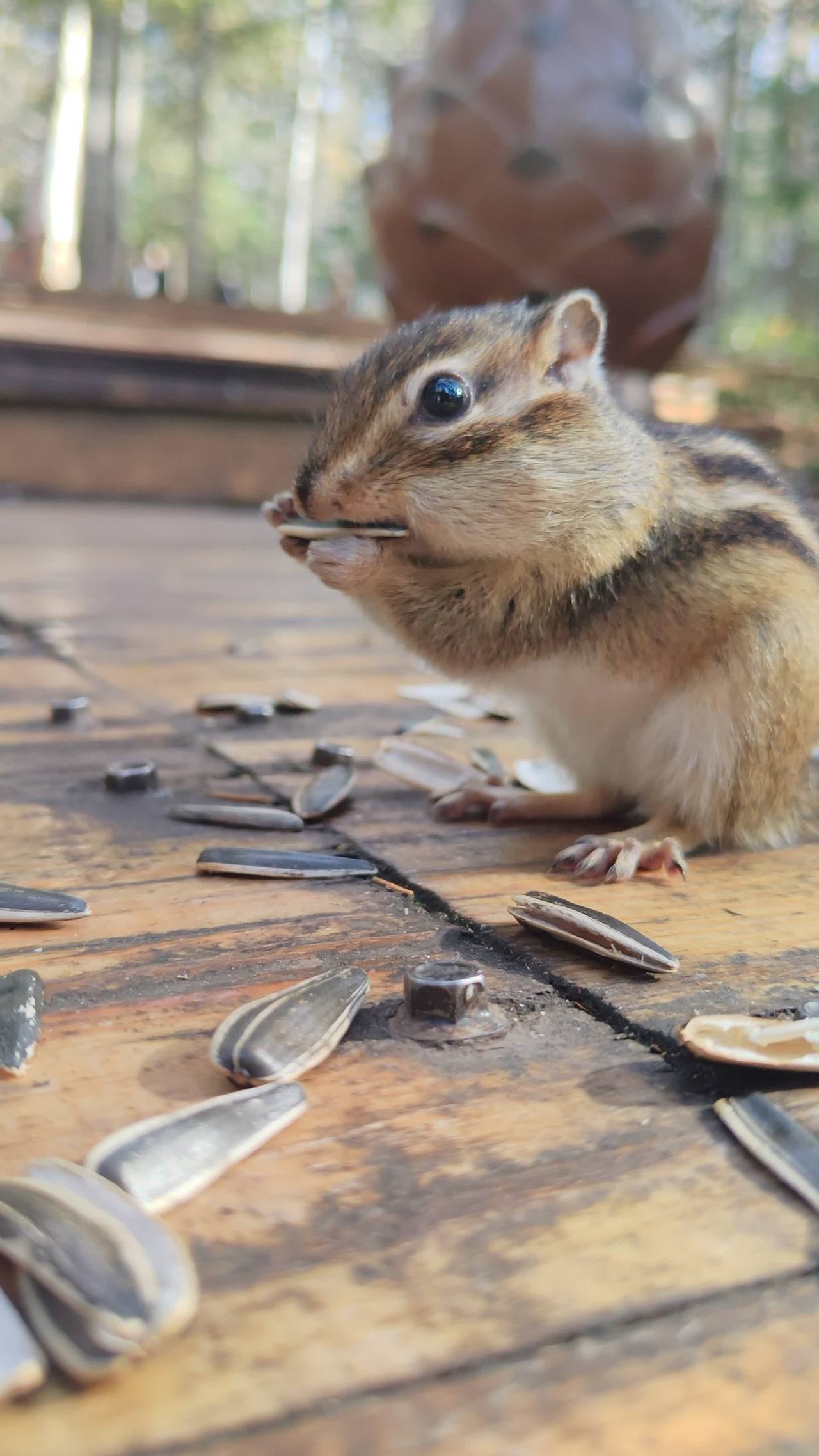 VID_20250926_141144 2