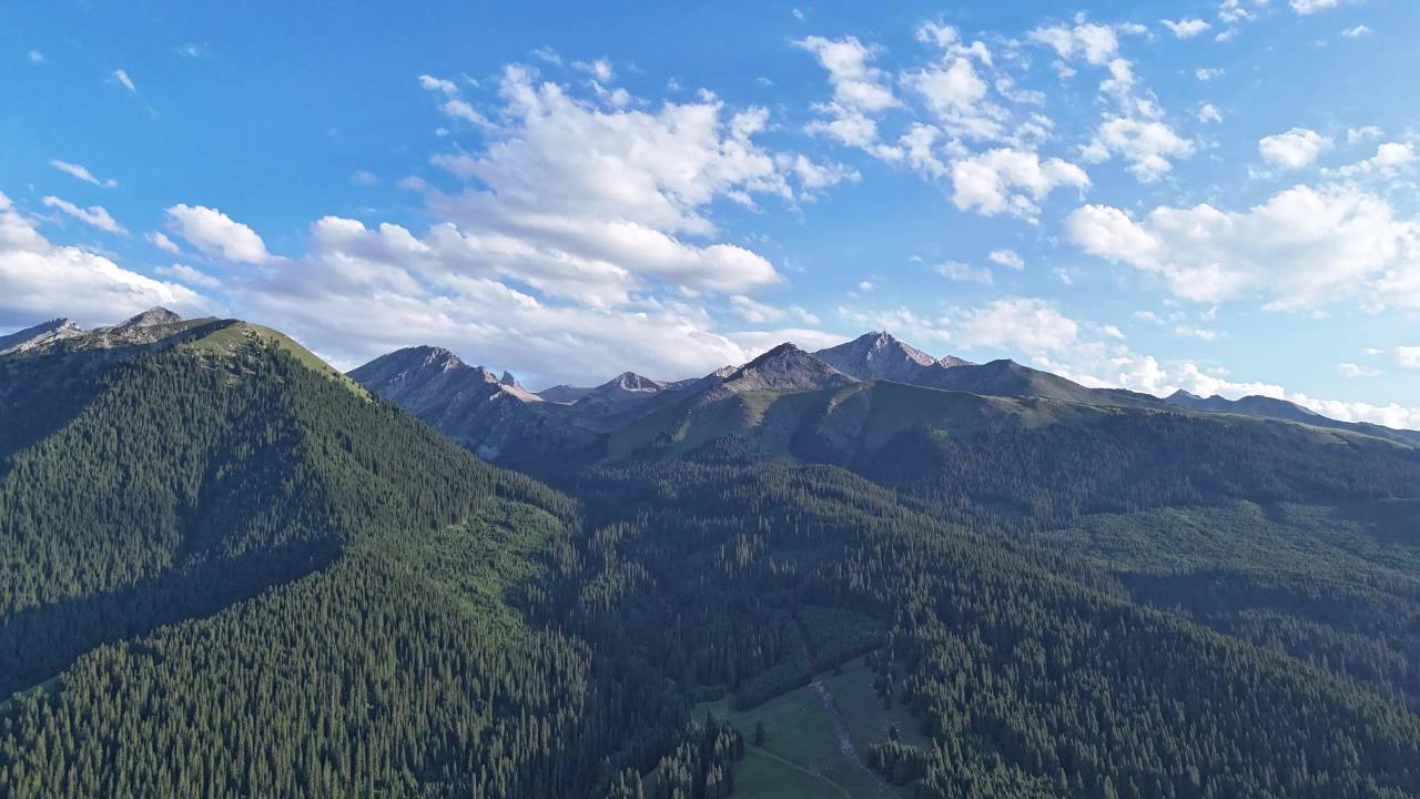 新疆伊犁琼库什台 2