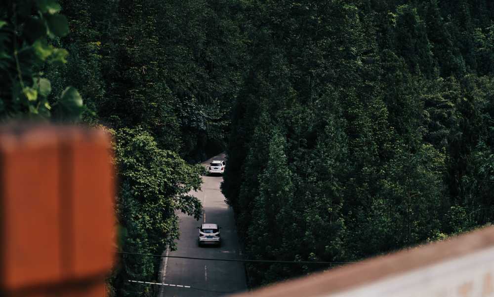 山林