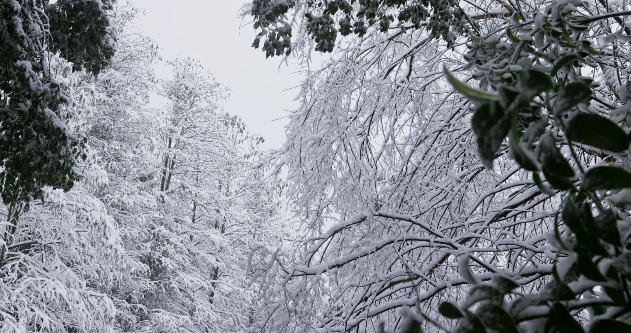 湖南长沙岳麓山爱晚亭城市雪景风光 4