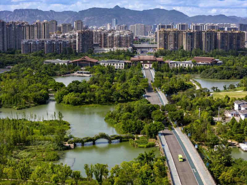 温州三垟湿地 7