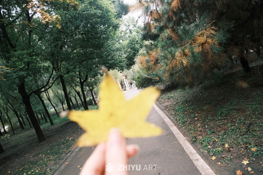 【实拍样片】富士X-S20相机实拍照片原片 11