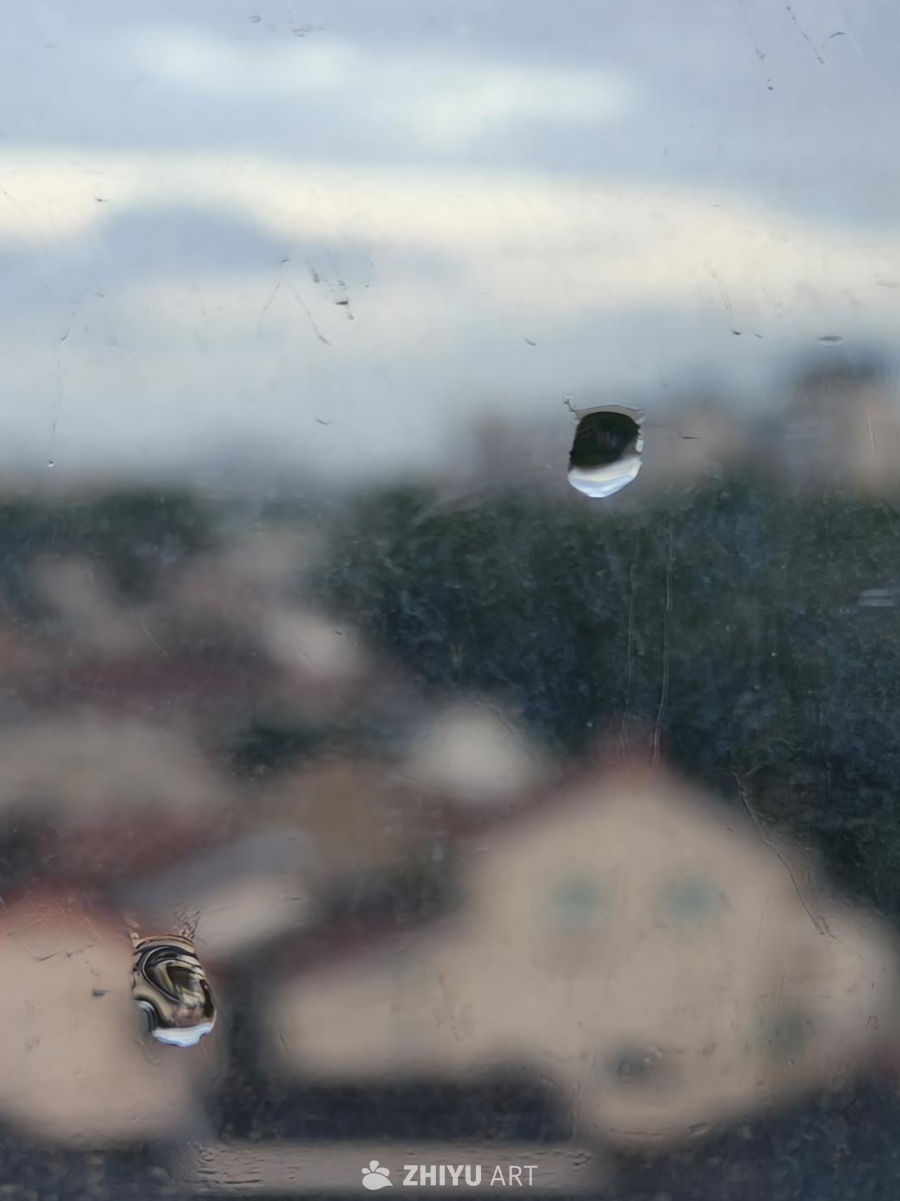 夏日雨后的水滴