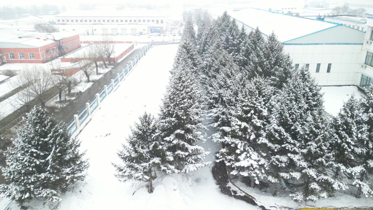 DJI_0168 7