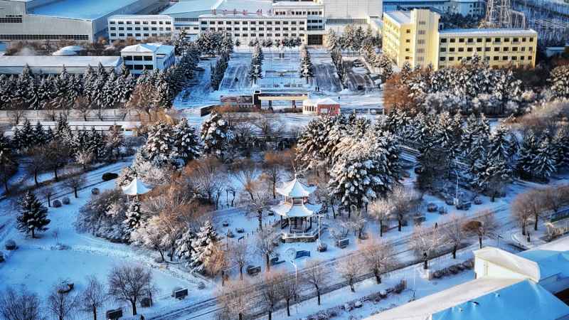 雾凇 雪松北国好风光 4