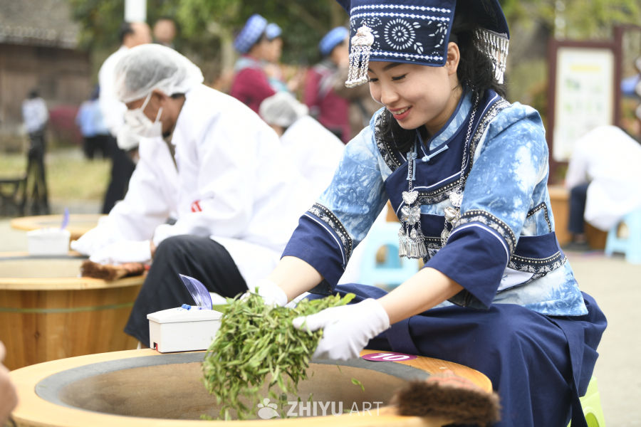 手工制茶 炒茶  茶叶产业 12