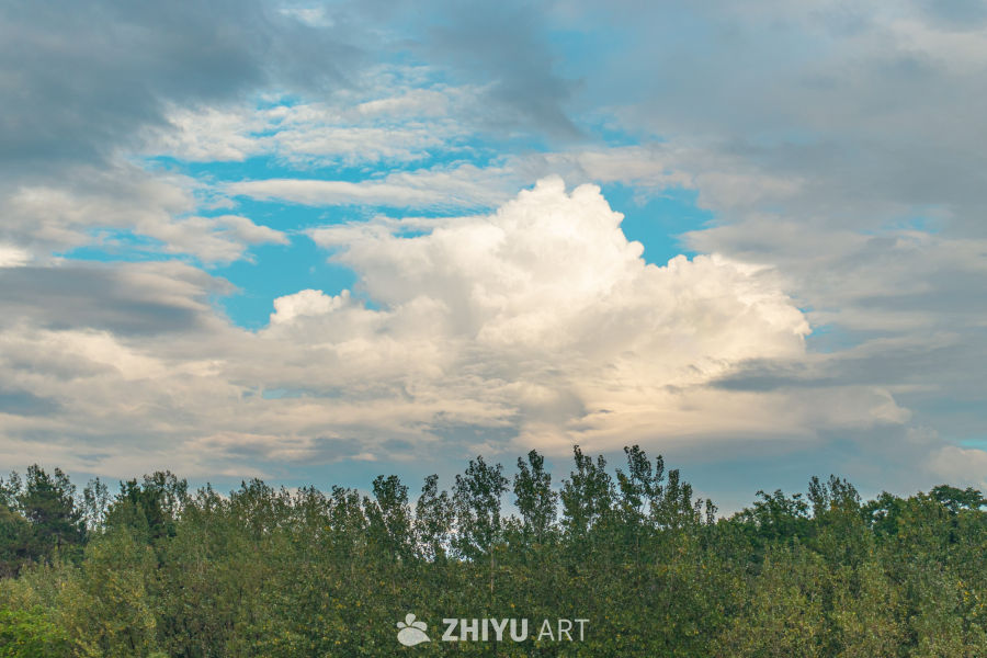 蓝天白云与绿树