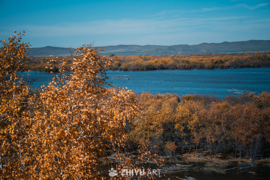 秋日湖畔金黄景
